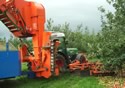 Centipede Apple Harvester