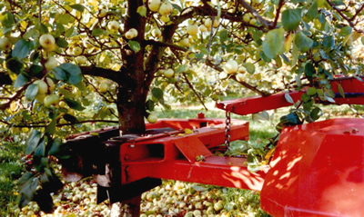 Tuthill Tuthill SL81e Multi Directional Tree Shaker